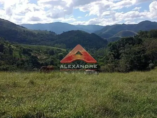Sítio com 86280m² 4 quartos e 2 banheiros, à venda, no bairro Roncador em São Francisco Xavier