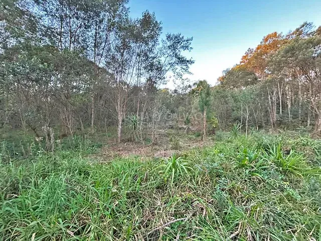 Sítio à venda, no bairro Capivari em Bocaiúva Do Sul