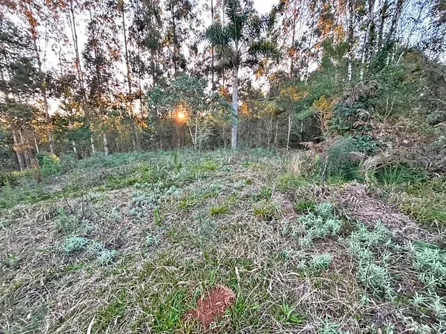 Sítio à venda, no bairro Capivari em Bocaiúva Do Sul