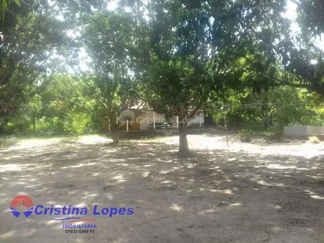 Sítio 3 quartos e 1 banheiro, à venda, no bairro Zona Rural em Teresina