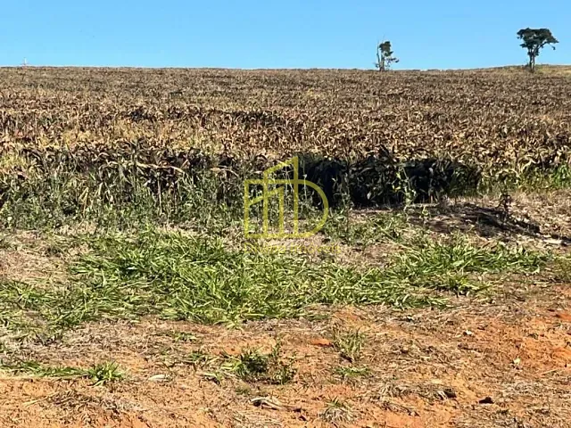 Sítio com 314600m², à venda, no bairro Brejaúva em São Miguel Arcanjo
