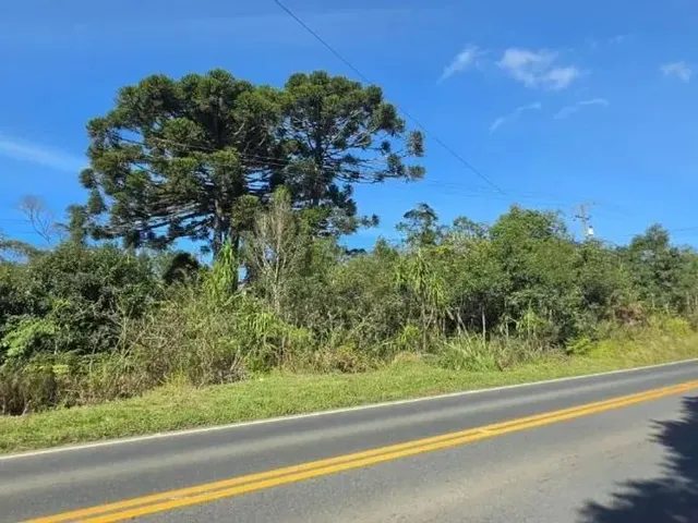 Sítio à venda, no bairro Roseira em Colombo