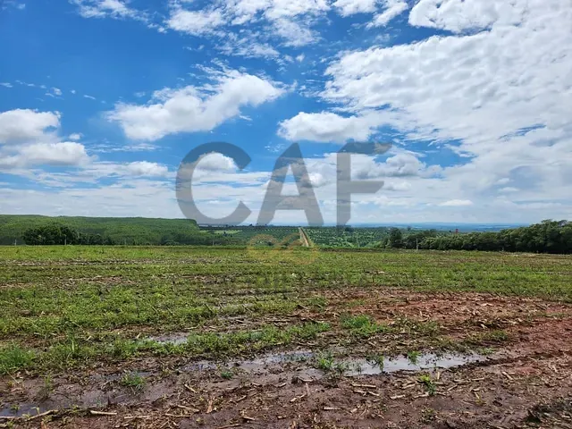 Sítio com 72039m², à venda, no bairro Área Rural de Artur Nogueira em Artur Nogueira