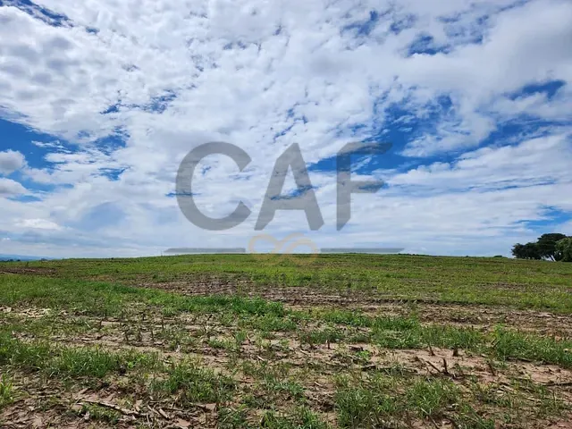 Sítio com 72039m², à venda, no bairro Área Rural de Artur Nogueira em Artur Nogueira