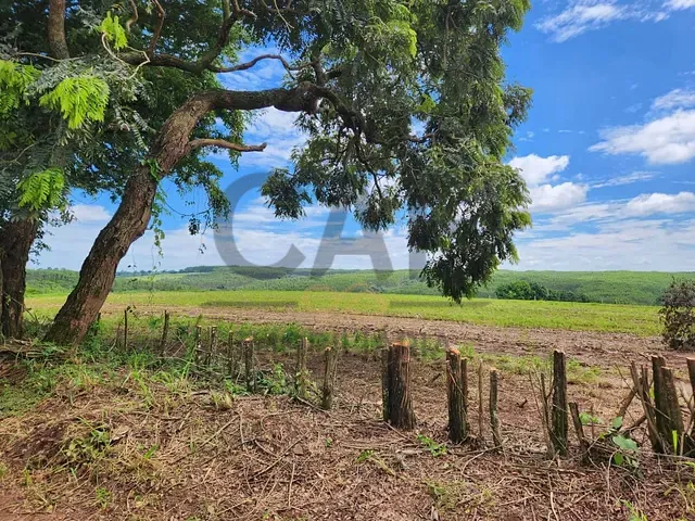 Sítio com 72039m², à venda, no bairro Área Rural de Artur Nogueira em Artur Nogueira