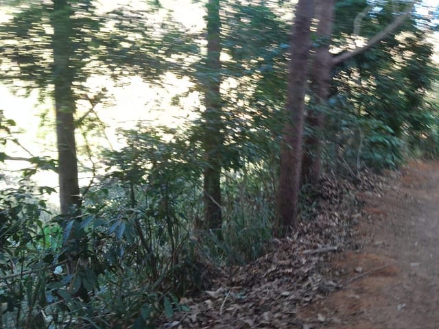 Sítio à venda, no bairro - em Dona Euzébia