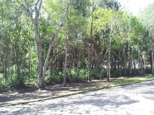 Sítio com 3500m², à venda, no bairro Borda Do Campo em São José Dos Pinhais