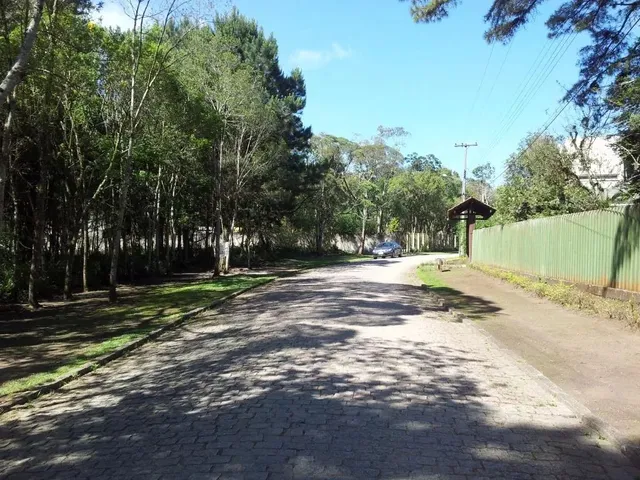 Sítio com 3500m², à venda, no bairro Borda Do Campo em São José Dos Pinhais
