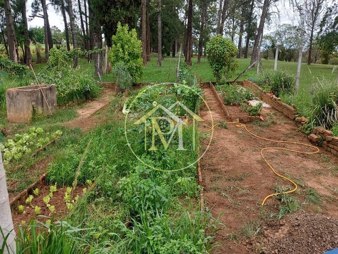 Sítio, 3 quartos, 13 hectares - Foto 5