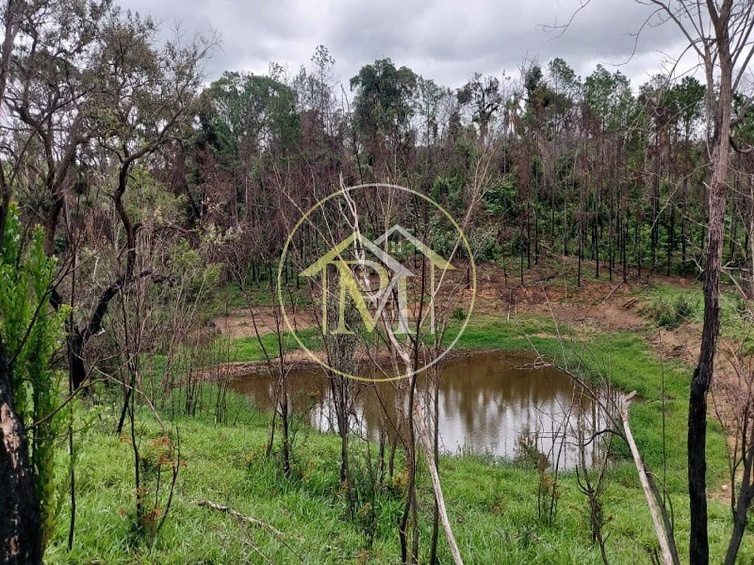 Sítio, 3 quartos, 13 hectares - Foto 13