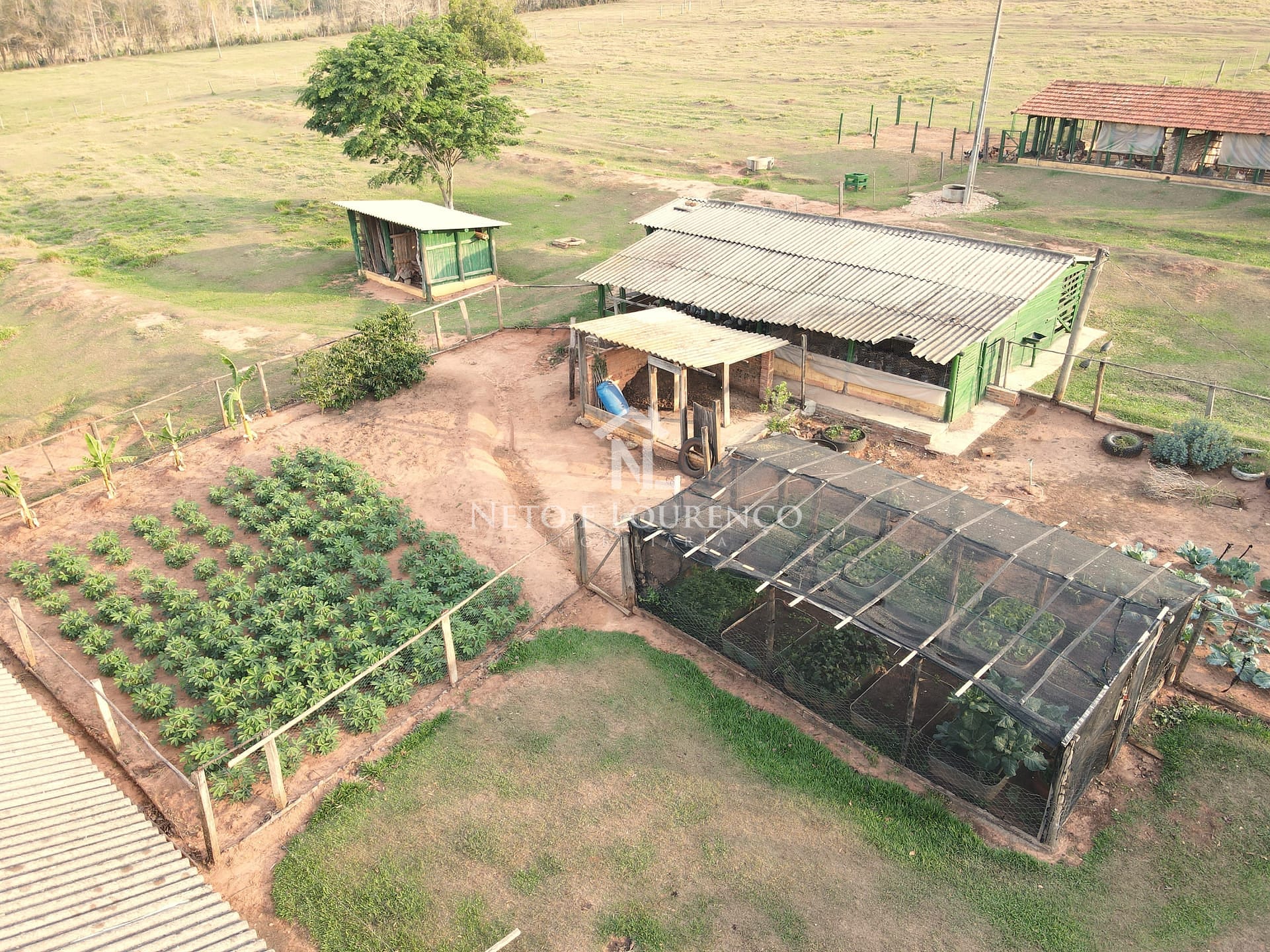 Fazenda-Sítio-Chácara, 10 hectares - Foto 21
