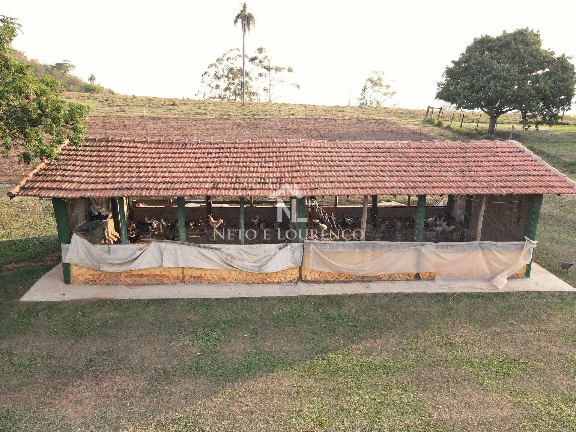 Fazenda-Sítio-Chácara, 10 hectares - Foto 22