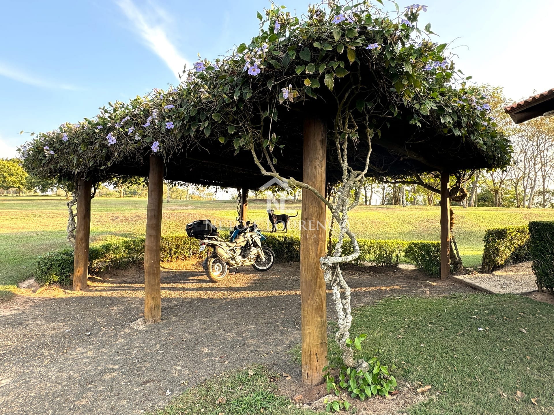 Fazenda-Sítio-Chácara, 10 hectares - Foto 13