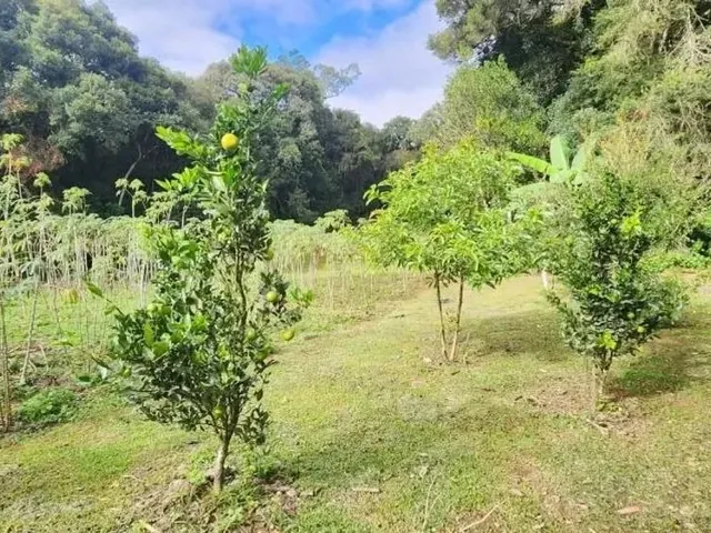Sítio 3 quartos e 1 banheiro, para alugar, no bairro Borda do Campo em São José Dos Pinhais