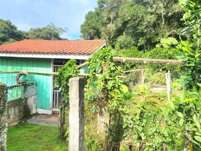 Sítio 3 quartos e 1 banheiro, para alugar, no bairro Borda do Campo em São José Dos Pinhais