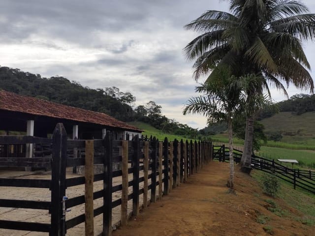 Sítio com 610000m² 3 quartos e 2 banheiros, à venda, no bairro Sítio em Leopoldina
