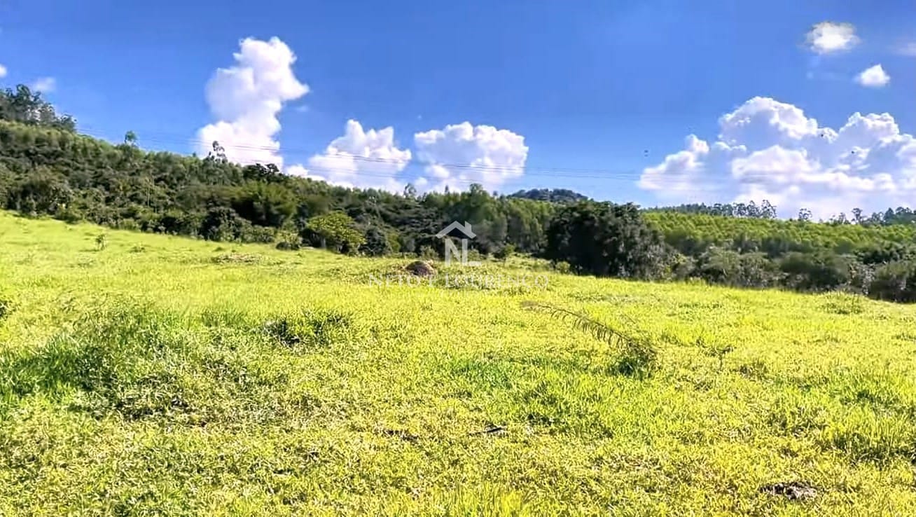 Sítio, 9 quartos, 15 hectares - Foto 42