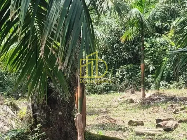 Sítio com 242000m², à venda, no bairro Princesa Isabel em Tapiraí
