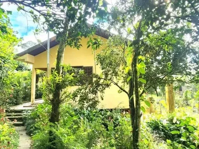 Sítio 3 quartos e 1 banheiro, à venda, no bairro São Sebastião em São José Dos Pinhais