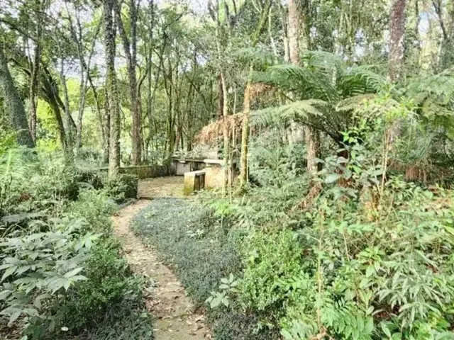Sítio 3 quartos e 1 banheiro, à venda, no bairro São Sebastião em São José Dos Pinhais
