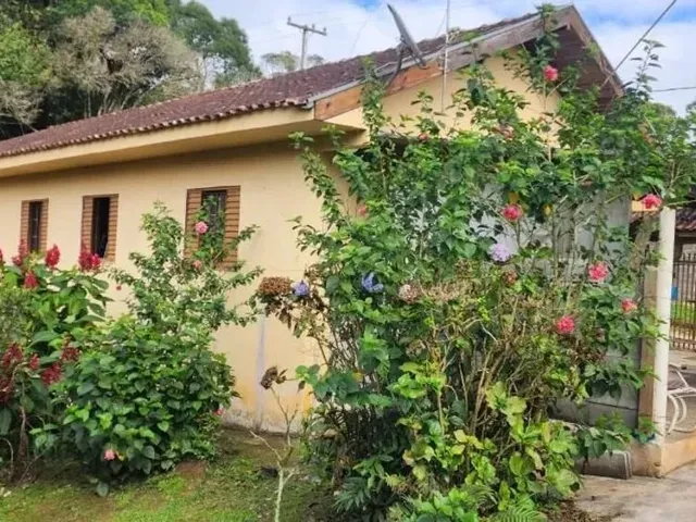 Sítio 3 quartos e 1 banheiro, à venda, no bairro São Sebastião em São José Dos Pinhais