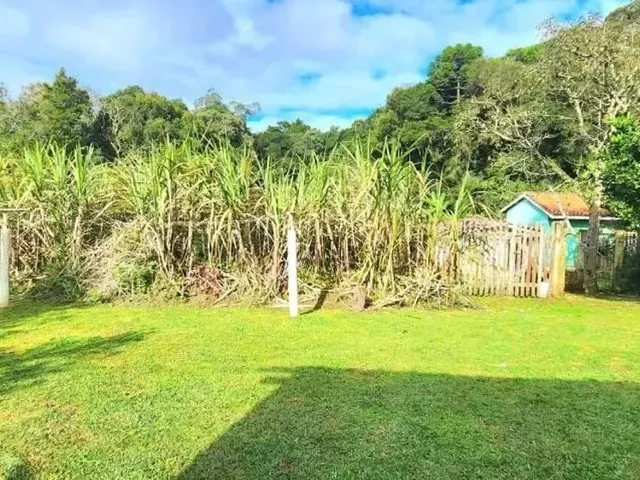 Sítio 3 quartos e 1 banheiro, à venda, no bairro São Sebastião em São José Dos Pinhais