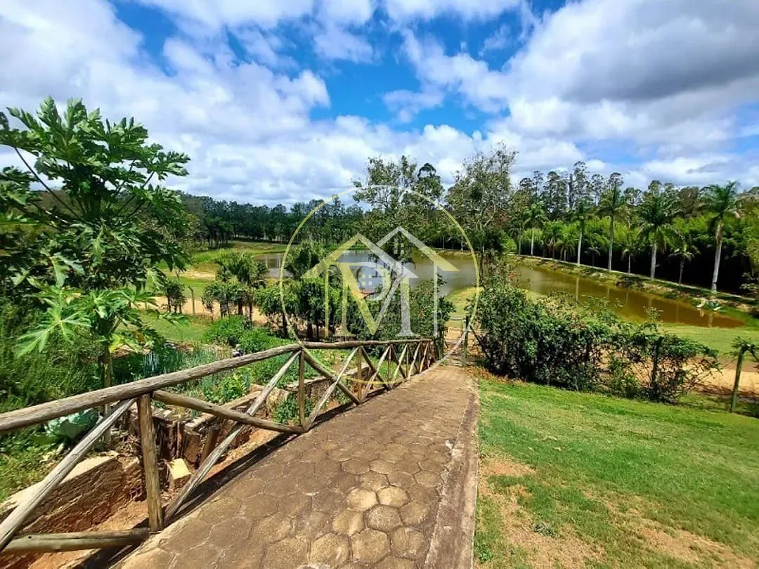 Sítio, 8 quartos, 53 hectares - Foto 2