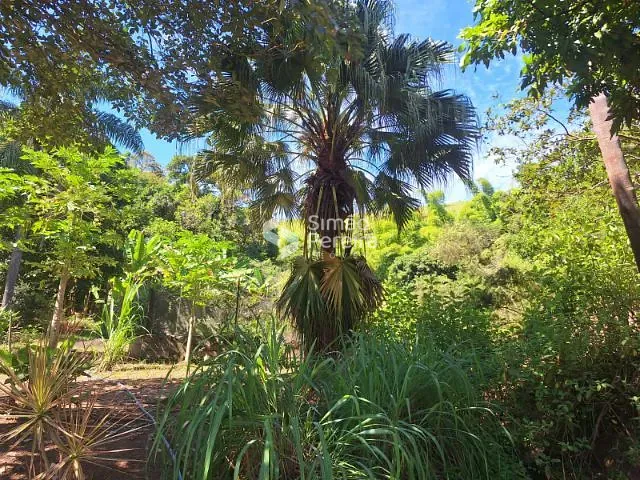 Sítio com 55000m² 5 quartos e 1 banheiro, à venda, no bairro Reino em Paraíba do Sul