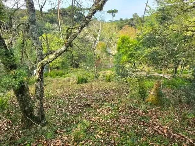 Sítio 1 quarto e 1 banheiro, à venda, no bairro Imbuial em Colombo