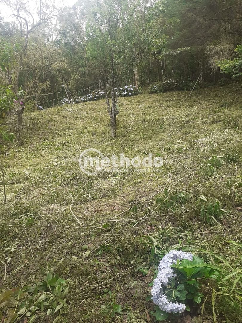 Chácara, 11 quartos, 5 hectares - Foto 16