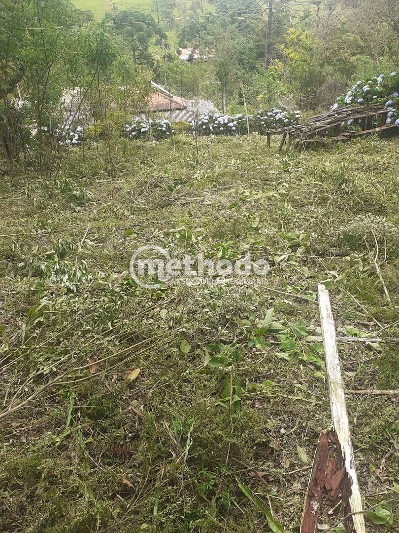 Chácara, 11 quartos, 5 hectares - Foto 12