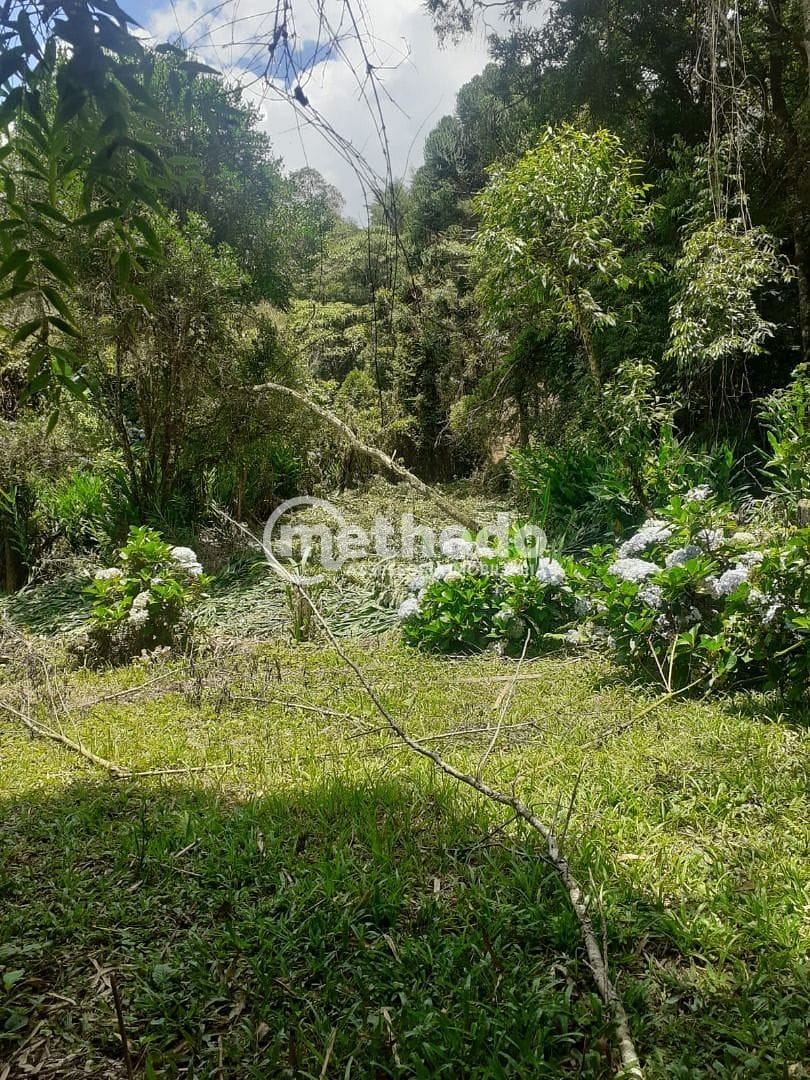 Chácara, 11 quartos, 5 hectares - Foto 14