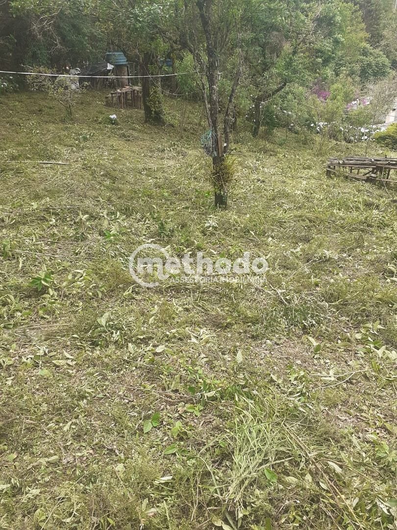 Chácara, 11 quartos, 5 hectares - Foto 13