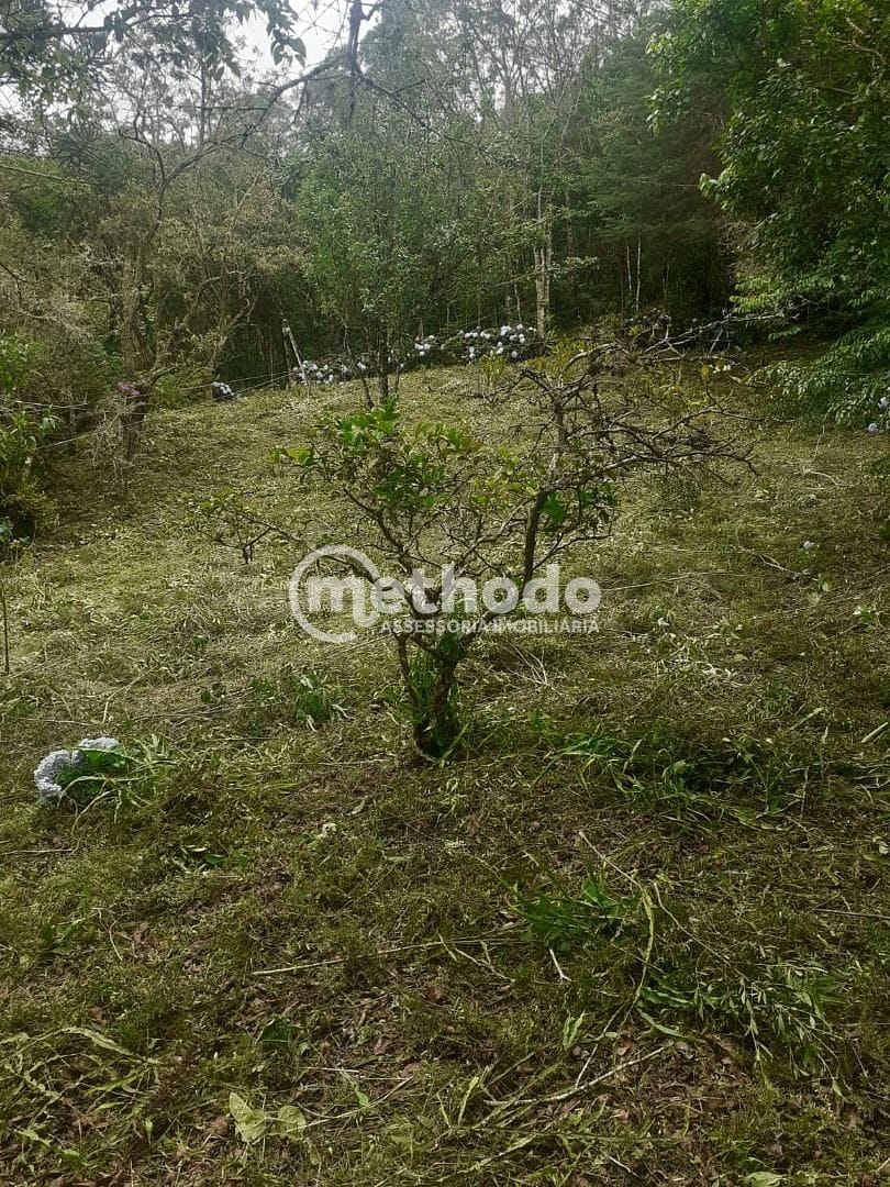 Chácara, 11 quartos, 5 hectares - Foto 10