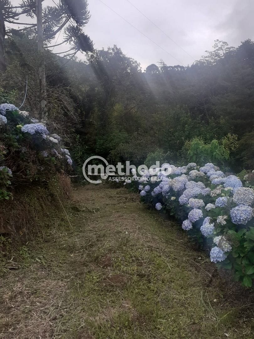 Chácara, 11 quartos, 5 hectares - Foto 8