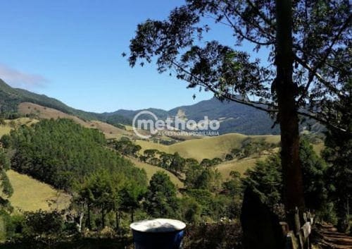 Chácara, 11 quartos, 5 hectares - Foto 20