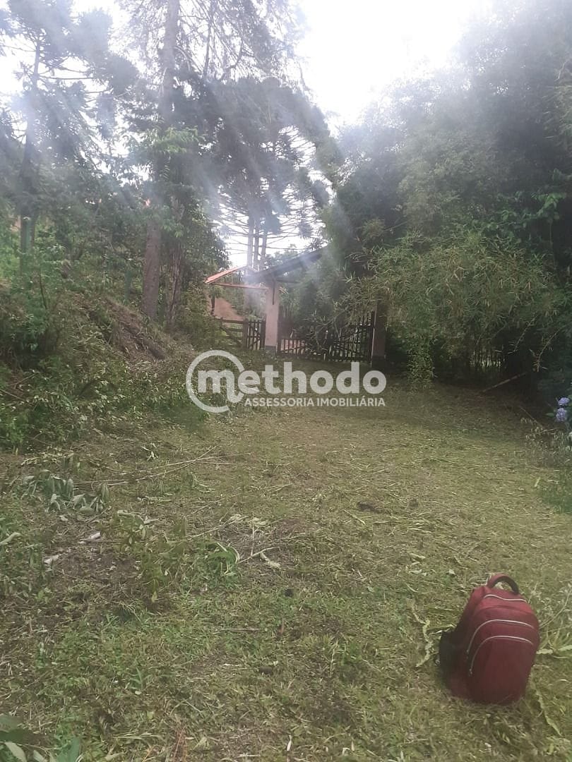 Chácara, 11 quartos, 5 hectares - Foto 17