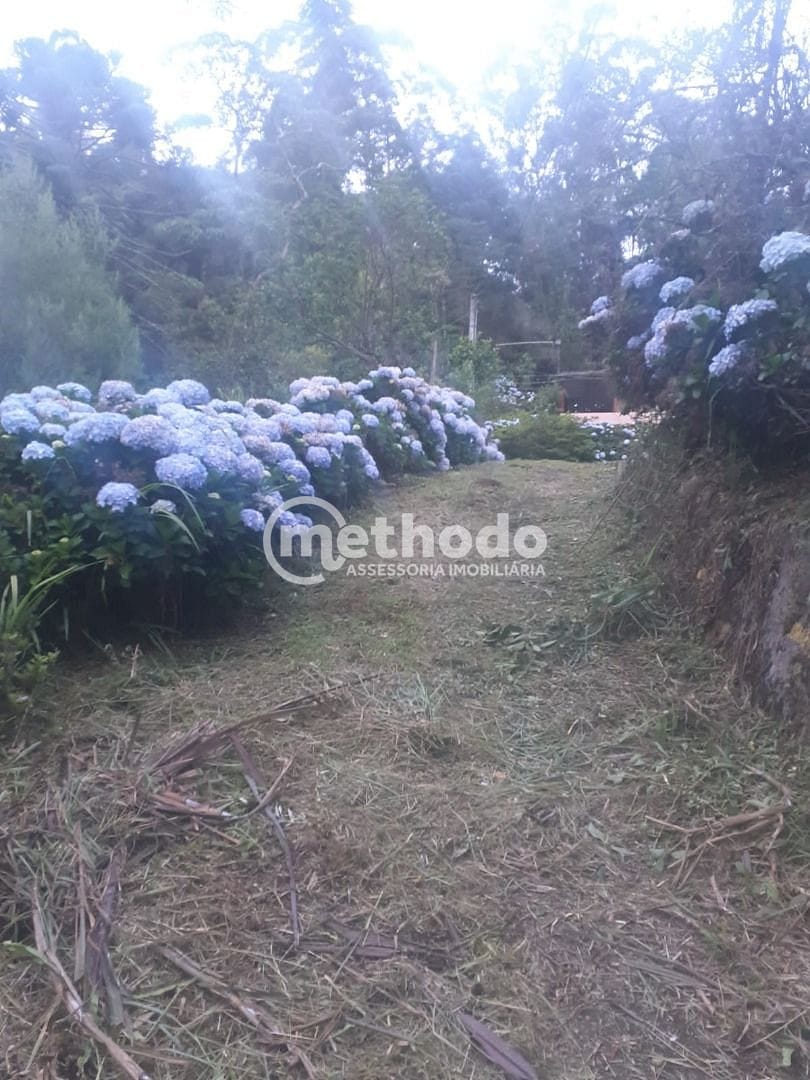 Chácara, 11 quartos, 5 hectares - Foto 9