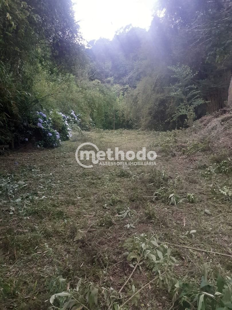 Chácara, 11 quartos, 5 hectares - Foto 11