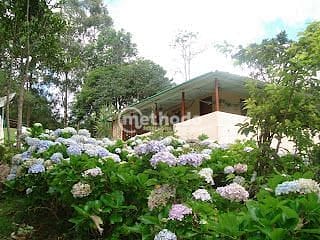 Chácara, 11 quartos, 5 hectares - Foto 5