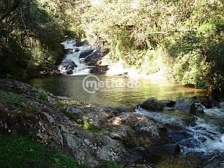 Chácara, 11 quartos, 5 hectares - Foto 35