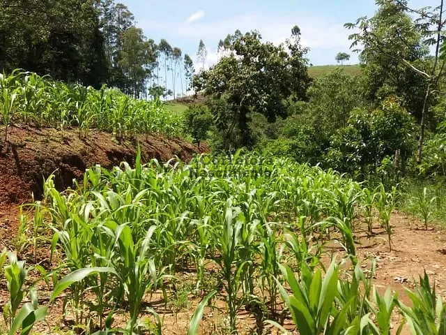Sítio com 67760m², à venda, no bairro Rio do Braço em São José dos Campos