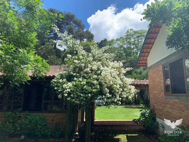 Sítio com 226754m², à venda, no bairro Campo Largo da Roseira em São José Dos Pinhais