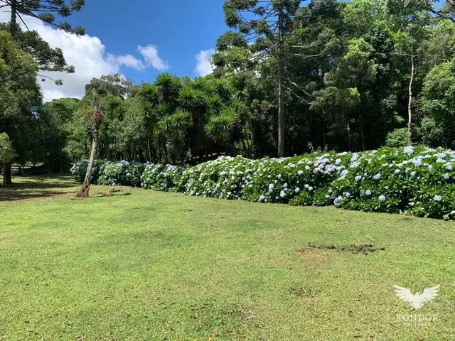 Sítio com 226754m², à venda, no bairro Campo Largo da Roseira em São José Dos Pinhais