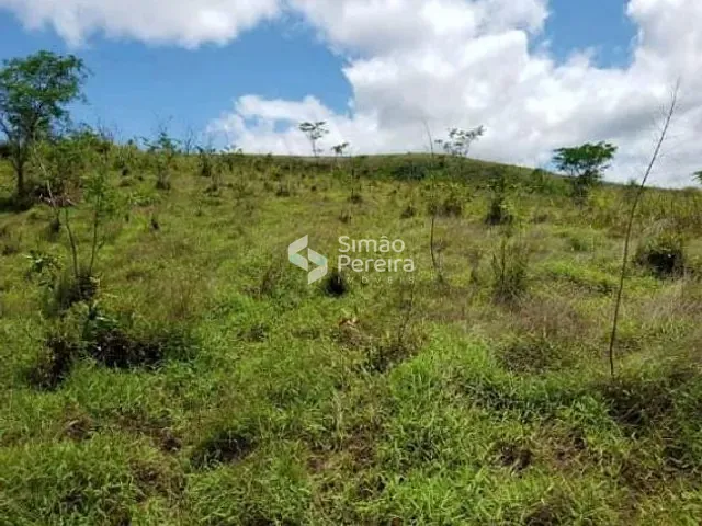 Sítio com 94659m² 3 quartos e 3 banheiros, à venda, no bairro Limoeiro em Paraíba do Sul