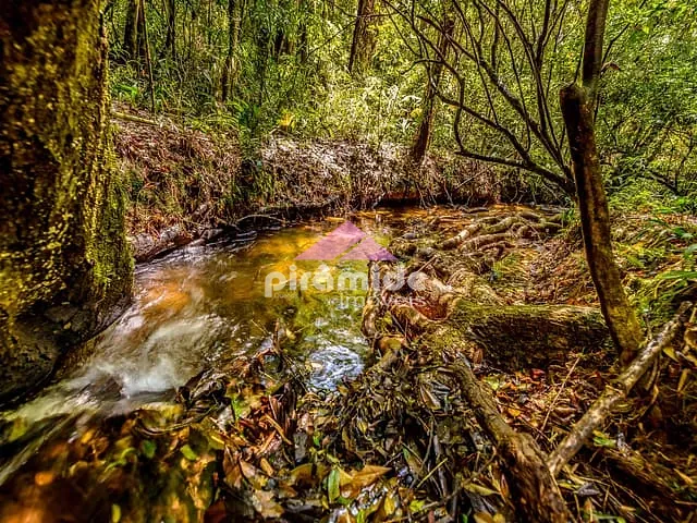 Fazenda com 1710000m² 10 quartos e 10 banheiros, à venda, no bairro Rio Preto em Santo Antônio do Pinhal