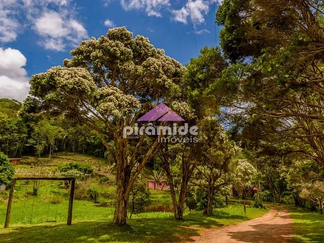 Fazenda com 1710000m² 10 quartos e 10 banheiros, à venda, no bairro Rio Preto em Santo Antônio do Pinhal