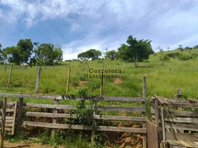 Sítio com 20000m², à venda, no bairro Jardim Colinas em Jacareí