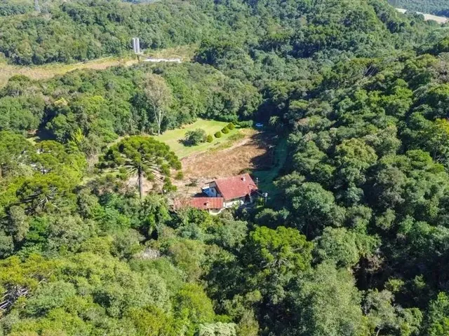 Sítio 4 quartos e 2 banheiros, à venda, no bairro Juruqui em Almirante Tamandaré