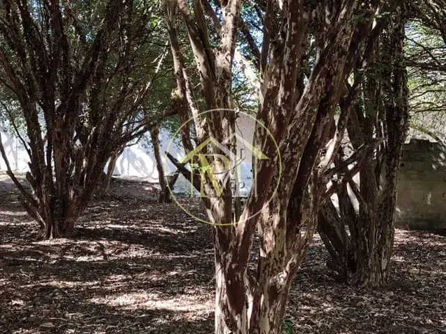 Sítio com 102000m², à venda, no bairro Fazenda São Marcos em Bofete